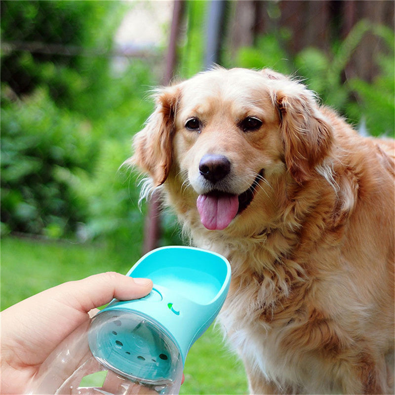 Bouteille d'Eau Portable pour Animaux de compagnies